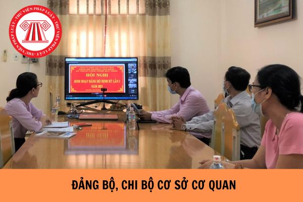 Ban hành Quy định về chức năng, nhiệm vụ, mối quan hệ công tác của đảng bộ, chi bộ cơ sở cơ quan?