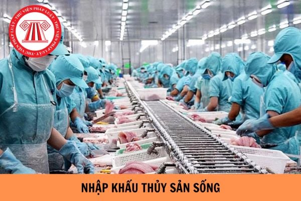 Giấy phép nhập khẩu thủy sản sống có hiệu lực bao nhiêu tháng?