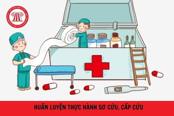 Người huấn luyện thực hành sơ cứu, cấp cứu phải đáp ứng những yêu cầu chứng chỉ nào?