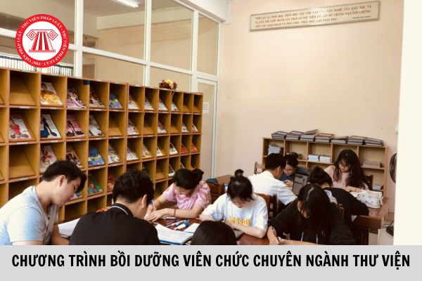 Chính thức: Triển khai nâng cao năng lực chuyên môn, nghiệp vụ, phát triển năng lực nghề nghiệp theo yêu cầu của viên chức chuyên ngành thư viện?