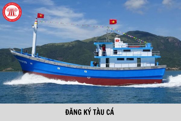 Chủ tàu cá không thường trú tại Việt Nam có được cấp Giấy chứng nhận đăng ký tàu cá không?