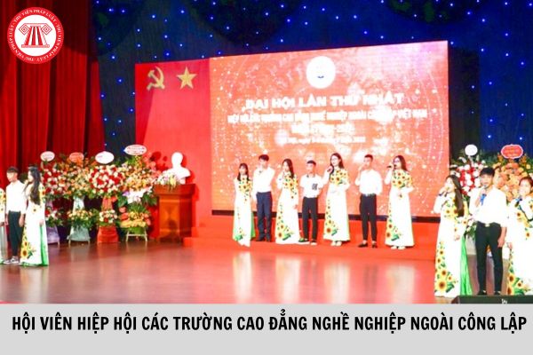 Hội viên chính thức của Hiệp hội Các trường cao đẳng nghề nghiệp ngoài công lập Việt Nam phải đáp ứng tiêu chuẩn gì?