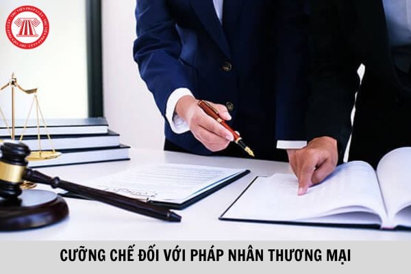 Người được huy động tham gia thi hành quyết định cưỡng chế đối với pháp nhân thương mại được hỗ trợ chi phí 100.000 đồng/ngày?