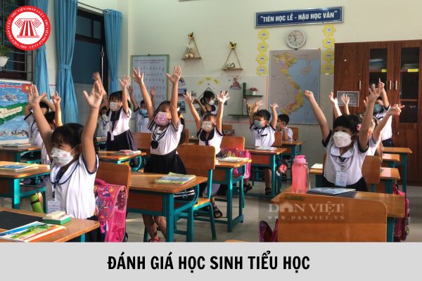 Thông Tư 27 đánh Giá Học Sinh Tiểu Học Mới Nhất Khen Thưởng Học Sinh Xuất Sắc Cuối Năm Học đối 