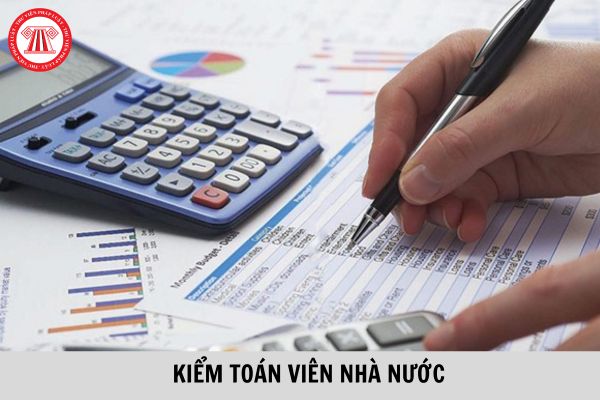 Thẻ Kiểm toán viên Nhà nước có giá trị sử dụng trong vòng bao nhiêu năm?