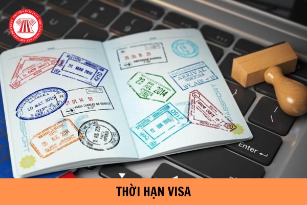 Ký hiệu Visa được cấp cho người nước ngoài khi nhập cảnh vào Việt Nam mới nhất 2023?