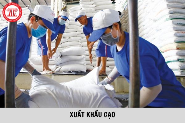 Đến 2023, phấn đấu đạt khoảng 25% gạo xuất khẩu trực tiếp mang nhãn hiệu Gạo Việt Nam?