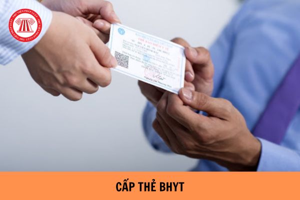 Cấp thẻ BHYT tại TP. Hồ Chí Minh được được phân cấp như thế nào? Thời hạn có giá trị sử dụng của thẻ BHYT là từ thời điểm nào?