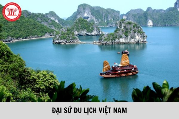 Đại sứ Du lịch Việt Nam có nhiệm kỳ bao nhiêu năm? Được bổ nhiệm vào tháng mấy?