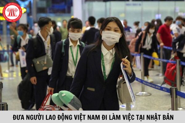 Hỏi đáp Pháp luật