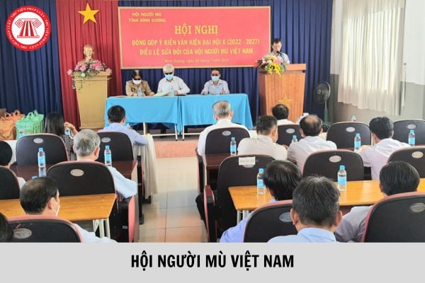 Điều lệ của Hội Người mù Việt Nam? Hội Người mù Việt Nam có tổ chức như thế nào?