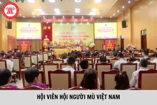 Hội viên Hội người mù Việt Nam phải đáp ứng tiêu chuẩn gì? Quyền của Hội viên Hội Người mù Việt Nam được quy định như thế nào?