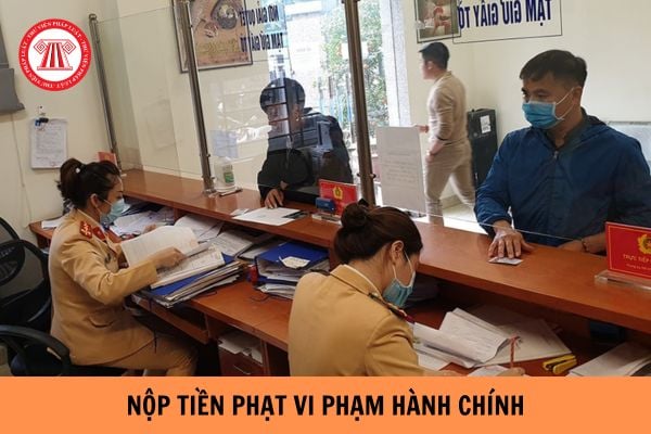 Cá nhân bị xử phạt vi phạm hành chính từ bao nhiêu tiền trở lên mới được xin hoãn thi hành quyết định phạt tiền?