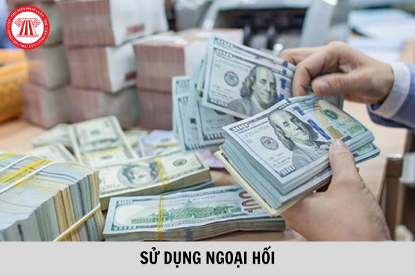 2 doanh nghiệp Việt Nam ký hợp đồng thể hiện ngoại hối nhưng có quy đổi ra tiền Việt và thanh toán bằng tiền Việt thì có sai không? 