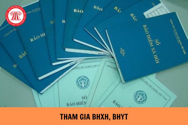 Mẫu TK1-TS mới nhất 2023? Trường hợp chỉ tham gia BHYT thì người tham gia kê khai những gì?