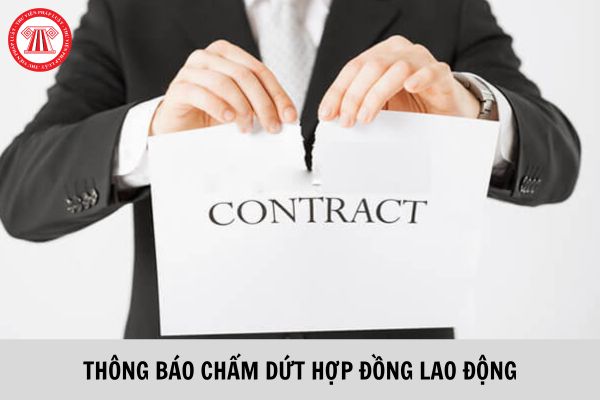 Mẫu thông báo chấm dứt hợp đồng lao động mới nhất năm 2023?