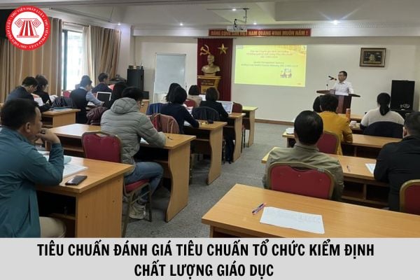 Tiêu chuẩn đánh giá tổ chức kiểm định chất lượng giáo dục đại học và cao đẳng sư phạm từ ngày 11/8/2023?