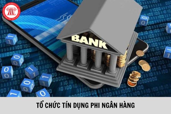 Sửa đổi quy định đối với cổ đông sáng lập tổ chức tín dụng phi ngân hàng từ ngày 6/8/2023?