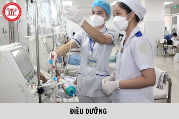 Trình độ ngoại ngữ của người tốt nghiệp cao đẳng điều dưỡng phải đạt tối thiểu bậc mấy theo Khung năng lực ngoại ngữ của Việt Nam?