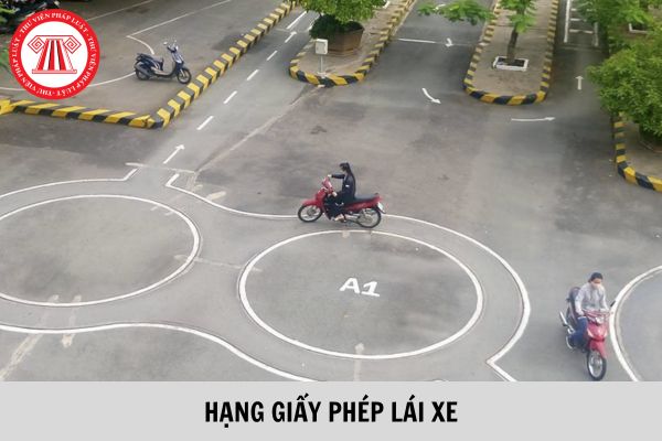 Dự thảo quy định về giấy phép lái xe mới nhất?