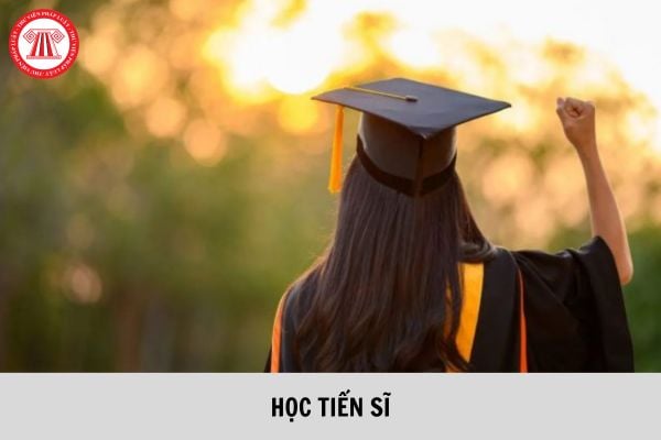 Tốt nghiệp đại học loại nào vẫn được học tiến sĩ mà không cần học thạc sĩ?