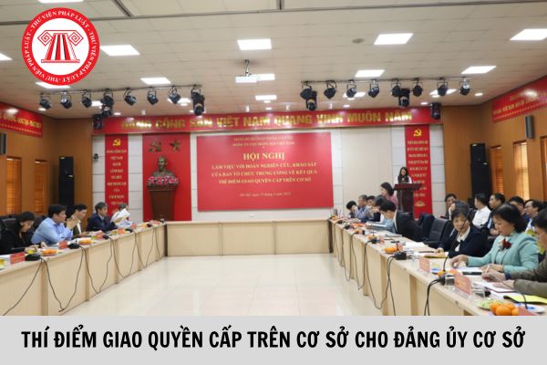 Quy định 113 về thí điểm giao quyền cấp trên cơ sở cho Đảng ủy cơ sở?