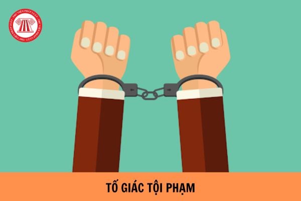 Mẫu đơn tố giác tội phạm chiếm đoạt tài sản mới nhất hiện nay? 