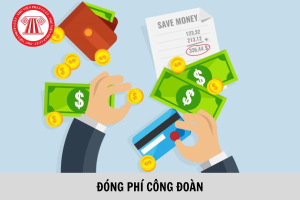 Đoàn viên bị mất việc làm được tạm dừng đóng đoàn phí công đoàn tối đa bao nhiêu tháng?