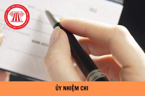 Mẫu ủy nhiệm chi kèm nộp thuế mới nhất 2023? Quy trình thanh toán ủy nhiệm chi được tiến hành như thế nào?