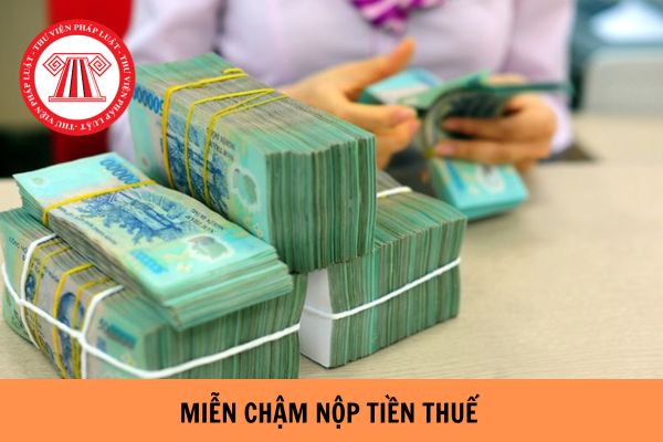 Mẫu văn bản đề nghị miễn tiền chậm nộp tiền thuế mới nhất hiện nay?