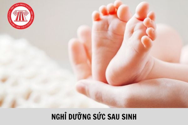 Nghỉ dưỡng sức sau sinh cần giấy tờ gì? Mẫu đơn xin dưỡng sức, phục hồi sức khỏe sau thai sản mới nhất?