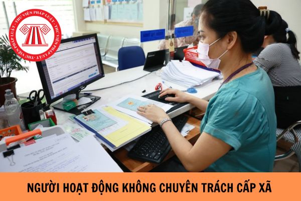 Người hoạt động không chuyên trách cấp xã có bắt buộc phải có bắt buộc phải tốt nghiệp đại học không?