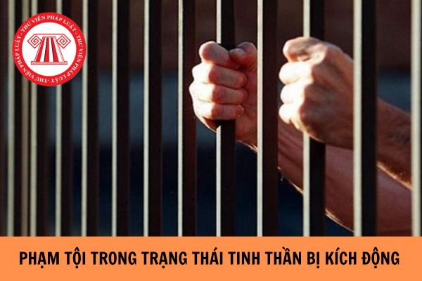 Phạm tội trong trạng thái tinh thần bị kích động mạnh bị truy cứu trách nhiệm hình sự như thế nào?