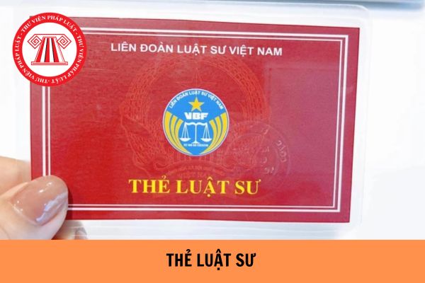 Thẻ luật sư được cấp đổi, cấp lại trong trường hợp nào? Thủ tục cấp đổi thẻ luật sư được tiến hành như thế nào?