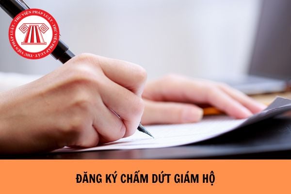 Mẫu tờ khai đăng ký chấm dứt giám hộ mới nhất?