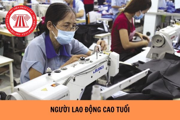 Người lao động cao tuổi không được làm việc quá 40 giờ trong 01 tuần đúng không? 