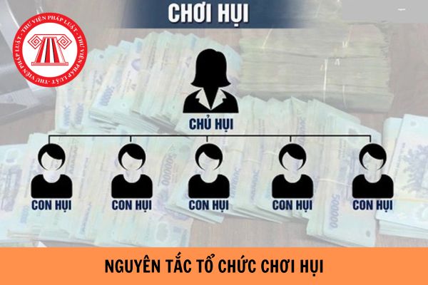 Chơi hụi như thế nào cho đúng luật? Lãi suất tối đa trong hụi có lãi được xác định như thế nào?