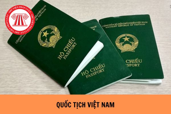 Mẫu đơn xin thôi quốc tịch Việt Nam mới nhất hiện nay?