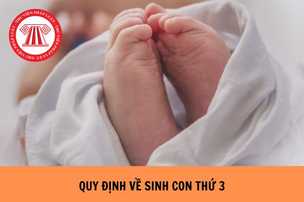 07 trường hợp không vi phạm quy định sinh con thứ 3 trở lên?