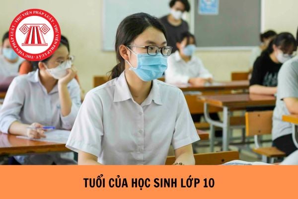 Lớp 10 bao nhiêu tuổi 2024? Khi nào học sinh được học vượt lớp, học ở độ tuổi cao hơn tuổi quy định?