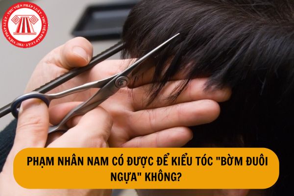 Hướng dẫn tự cắt tóc húi cua tại nhà | Đầu đinh | Vừa nói chuyện về nghề  Luật của Út Nhi Channel - YouTube
