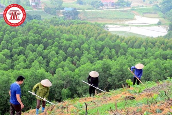 Quyết định chuyển mục đích sử dụng rừng sang mục đích khác của Hội đồng nhân dân Khánh Hòa theo ủy quyền của Thủ tướng CP có thủ tục ra sao?