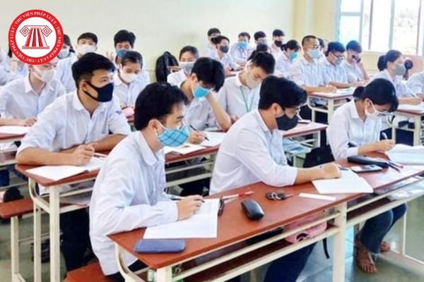 Có bắt buộc phải thành lập Phòng thanh tra nội bộ đối với trường đại học có quy mô dưới 10.000 sinh viên không?