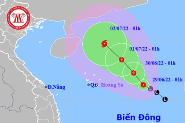 Nội dung dự báo, cảnh báo áp thấp nhiệt đới, bão gồm những gì? 