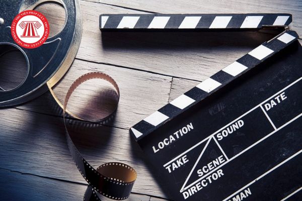 Hội Bảo vệ quyền tác phẩm điện ảnh và Phim truyền hình Việt Nam có cơ cấu tổ chức như thế nào? 