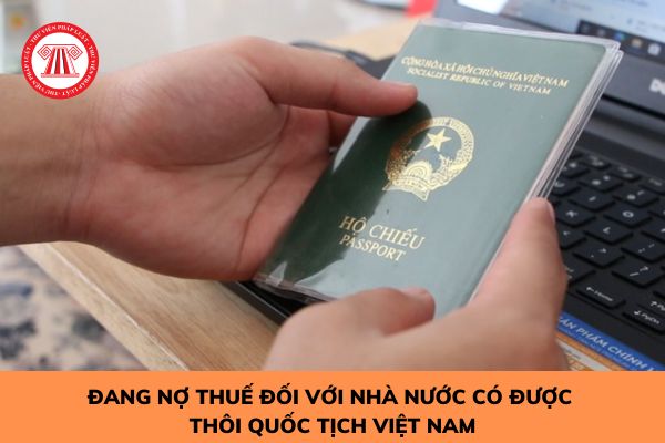  Đang nợ thuế đối với Nhà nước có được thôi quốc tịch Việt Nam?