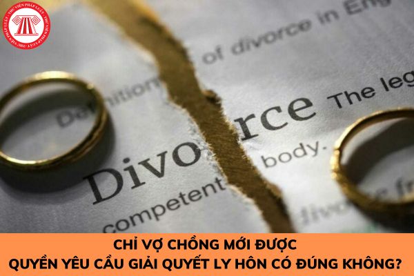 Chỉ vợ chồng mới được quyền yêu cầu giải quyết ly hôn có đúng không? 