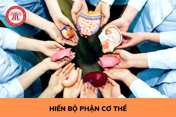 Hiến bộ phận cơ thể người được hưởng những quyền lợi gì?