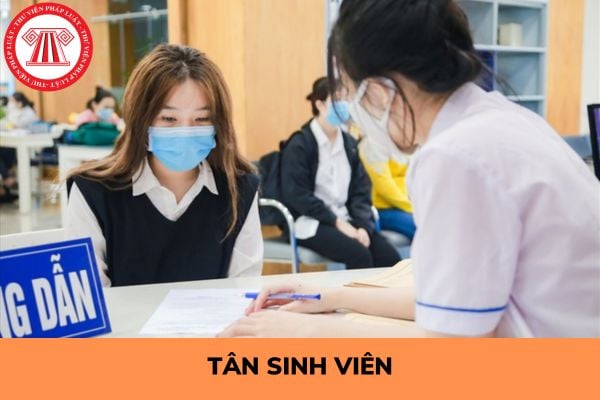 Các lưu ý dành cho tân sinh viên để không bị đa cấp lừa?