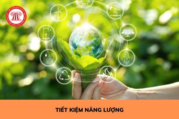 Những ưu đãi trong hoạt động sử dụng năng lượng tiết kiệm và hiệu quả đối với tổ chức, cá nhân đầu tư sản xuất sản phẩm tiết kiệm năng lượng?